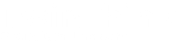 TwinThink